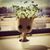Gretchen Gleason's profile image