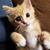 Wendy Strock Mccallister's profile image