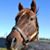 Jeffrey Doyle's profile image