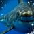 Maureen Shea Kirt's profile image