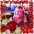Cynthia Murphy's profile image