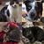 Sherry Stilwell Lester's profile image