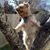 Linda Barton's profile image
