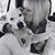 Ivon Ladner's profile image