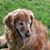 Jo Cabreira Cimino's profile image