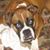 Hanna Emma Reber's profile image