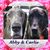 Bobbie Marie Palsa's profile image