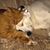 Ruth Anglin's profile image