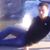 Jose Angel Avila Arguello's profile image