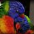 Rebecca Cecil's profile image
