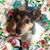 Stephanie Dole Stilley's profile image