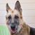 Martin J Champagne Jr's profile image