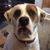 Shane Russell Ray's profile image