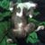 Rick Gowan's profile image