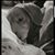 Tabatha Chuderewicz's profile image