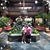Lourdes Salinas Hernandez's profile image