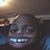 Brandon Knowles's profile image