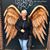 Debbie Bradford's profile image