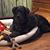 Jill Phillips Murphy's profile image