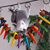 Lorie A. Cote's profile image