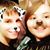Daphni Werch's profile image
