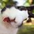 Ntje Net's profile image