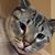 Kristina McInerny's profile image