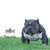 Ryan Hosoda's profile image