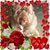 Terry White's profile image