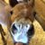 Hannah M Rinnert's profile image