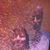Renee Schoen's profile image