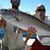 Michael Hafer's profile image