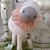 Susan Sheldon's profile image