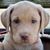Kevin J. Martin's profile image