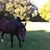 Barbara Tefft Brousseau's profile image