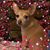 Amy Susan Hicks's profile image