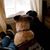 Rebecca Crafton-Dill's profile image