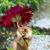 Diane Morgan-Muff's profile image
