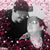 Aimee'Sue Cortez's profile image