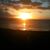 Angela Collado's profile image