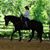 Deborah Edwards's profile image