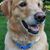 Kathy Dahlke's profile image