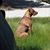 Teina Pardue's profile image