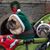 Jane Cottrell's profile image