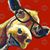 Sandy Boman's profile image