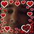 Tracey Schaffer's profile image