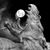 Richard Cason's profile image