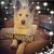 Lori Thomas's profile image