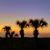 Cathi Anderson's profile image