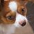 Kelly Lane's profile image